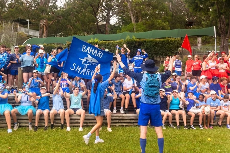 Web basic images (6)